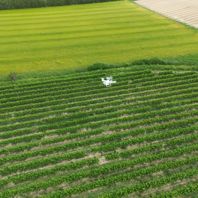 Agriculture de Précision