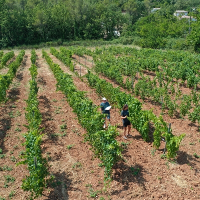 BY-DRONE est partenaire sur les centres de recherche des maladies de la vigne