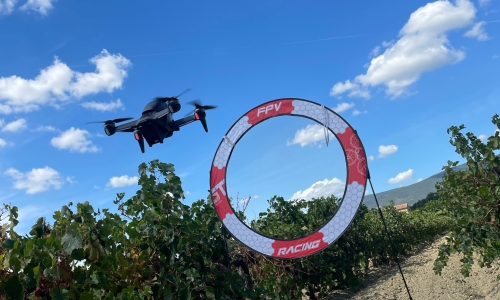 Formation FPV